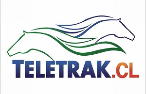 ¿Cómo hacer apuestas en Teletrak?